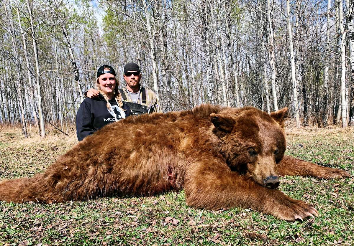 Alberta Black Bear Hunts